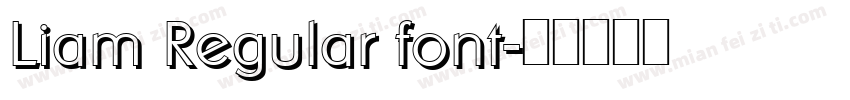 Liam Regular font字体转换